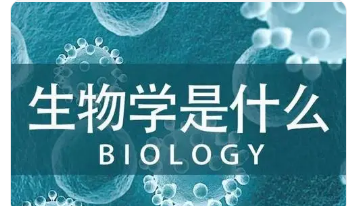 生物学论文